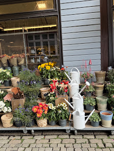 BLUME2000 Wernigerode
