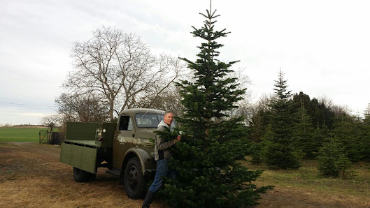 Landschaftsbau Weihnachtsbäume Axel Krimmling