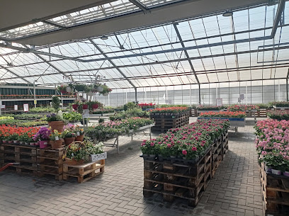floraque Stauden & Zierpflanzen GmbH