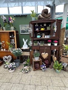 Blumenliebe Quedlinburg