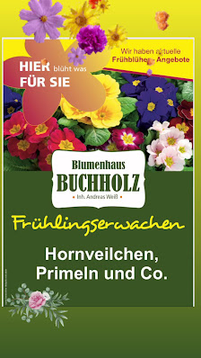 Blumenhaus WeißHerbst