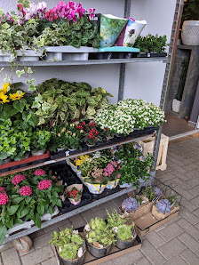 Blumen - Strawinski