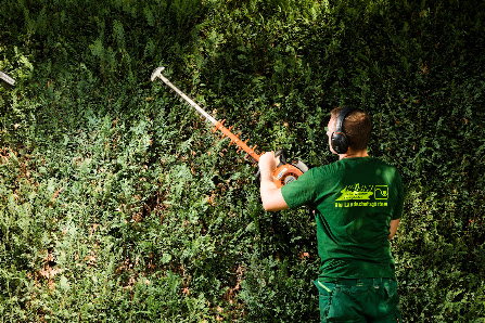 Kühn Garten-, Landschafts- und Sportplatzbau GmbH