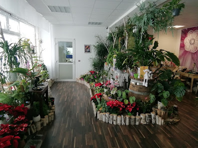 Blumenfachgeschäft Floristik Bär