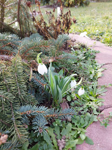 Christa's Blumenwelt
