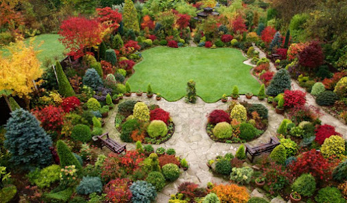 Ambra Garten Designer
