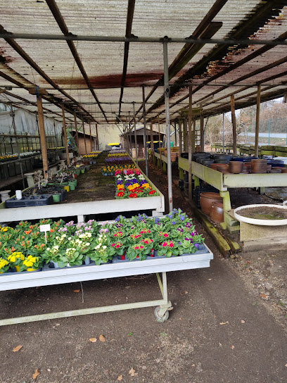 Gartencenter Kleinworth GmbH