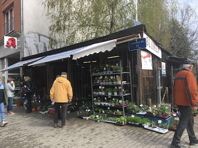 Blumenladen