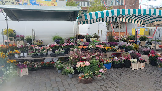 Blumen-Thun , Inh. Stephanie Beutling