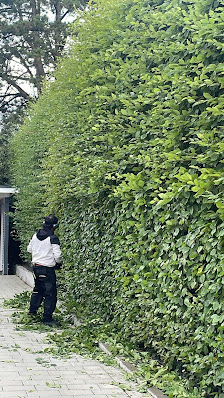 AS-Gartenservice
