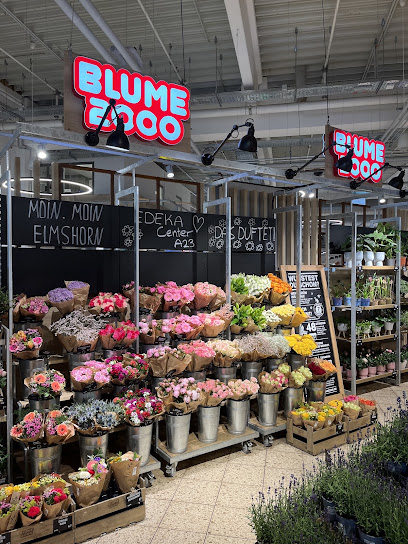 BLUME2000 im Edeka Hayunga Elmshorn