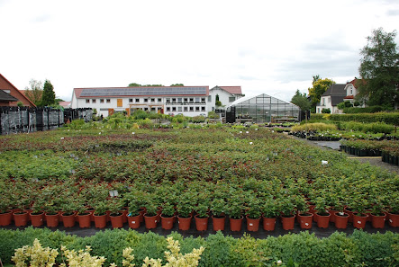 Pflanzenversand Garten Schlüter
