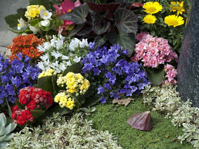 Blumen Hannweg | Floristik für alle Anlässe