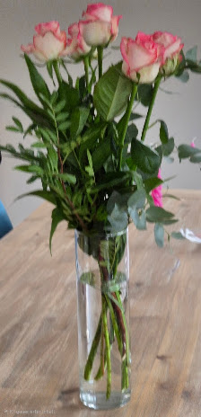 Bloomery