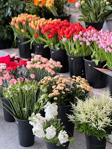 Bloomé