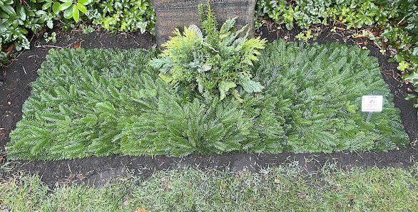 Jürgen Glunz Friedhofsgärtnerei - Grabpflege - Gartenpflege