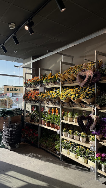 Blumengeschäft