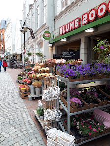 BLUME2000 Husum