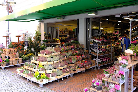 BLUME2000 Husum