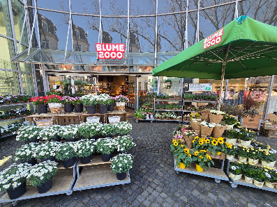 BLUME2000 Rendsburg