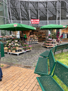 BLUME2000 Rendsburg