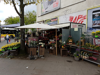 Blumen Hetzer | Berlin