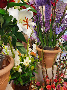 Meine Blumenwelt
