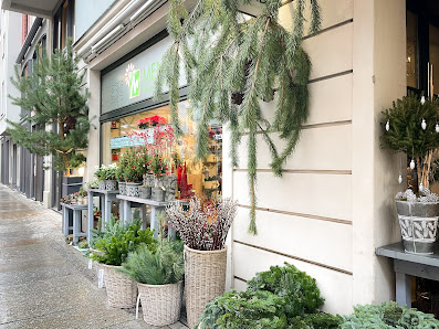 Blumen Mende GmbH