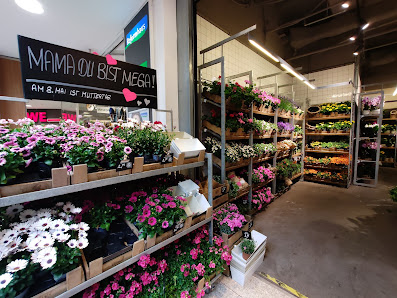 BLUME2000 Norderstedt Herold Center