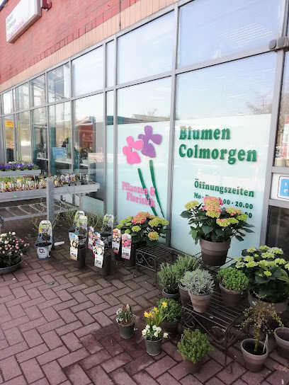 Blumen Colmorgen