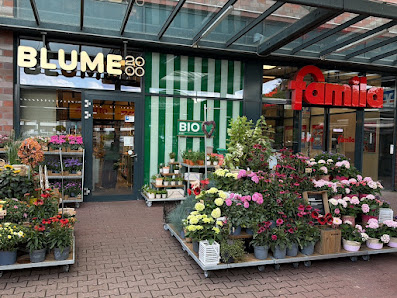 BLUME2000 Reinbek