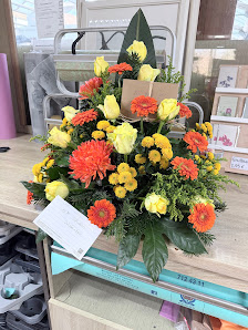 Blumen Stuben