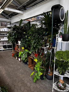 Hagebau kompakt GARTENMARKT
