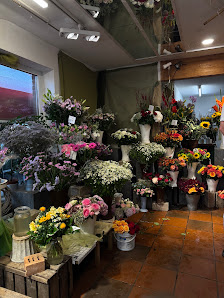Blumen Westphal