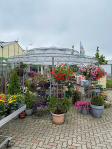 Blumen Walter
