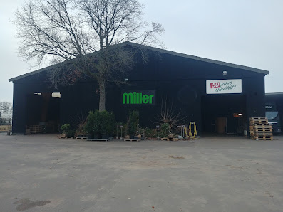 Hans Miller Baumschulen GmbH