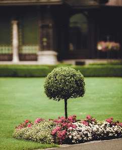 Andrius Gartenservice