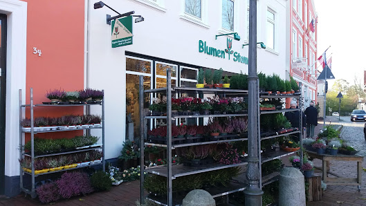 Blumen Stamer