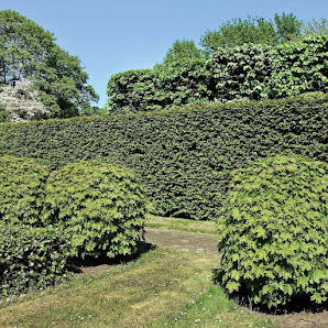 GARTENversteher