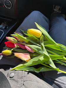 Blumen zum Selberpflücken