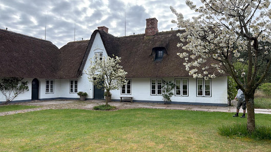 Gartenbau Sylt - Haus&Mehr