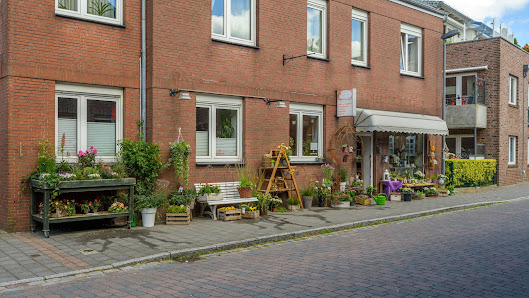 Feuerdorn Kreativ Birte Westphal