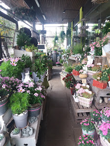 Blütezeit Blumen & Accessoires