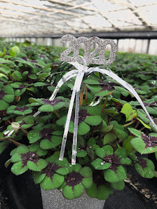 Bull Gartenbau, Inh. Hartwig Bull