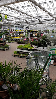 Pflanzen-Kölle Gartencenter GmbH & Co. KG Berlin - Teltow