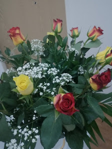 Blumen Franke