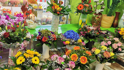 Lilien Blumen