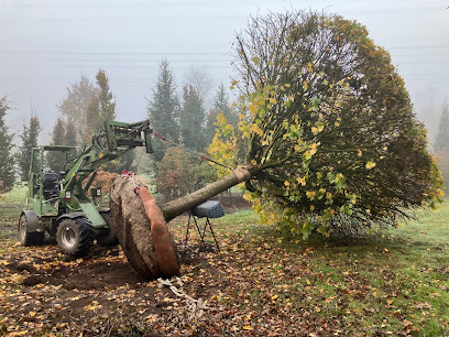 Gartenbauer in Wandsbek