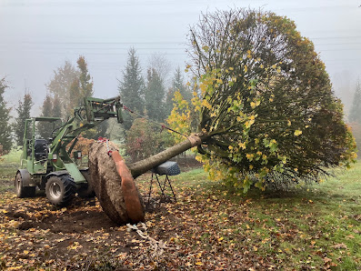 K.Ö.Grün Gartenbau Ödön Kalányos