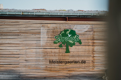Heidenau